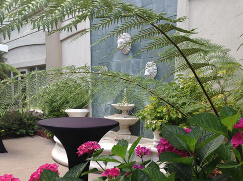 Santa Clara Biltmore Hotel & Suites - Courtyard Fountain Close Up